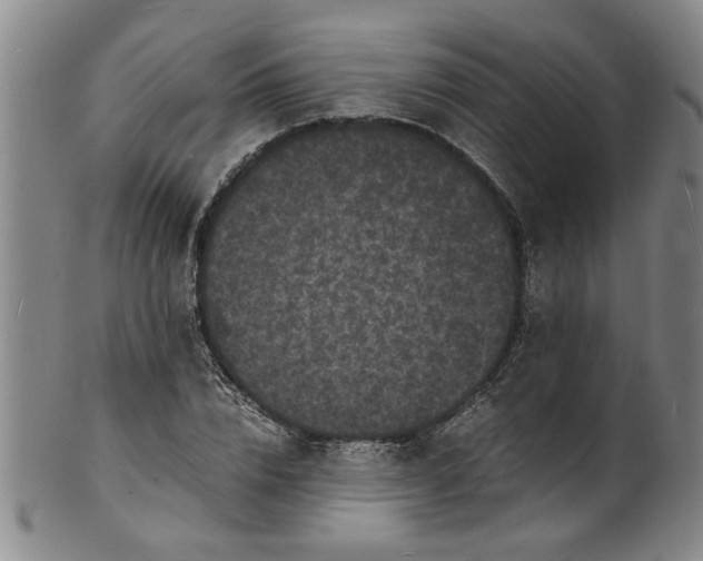 X0000101480832200807211357