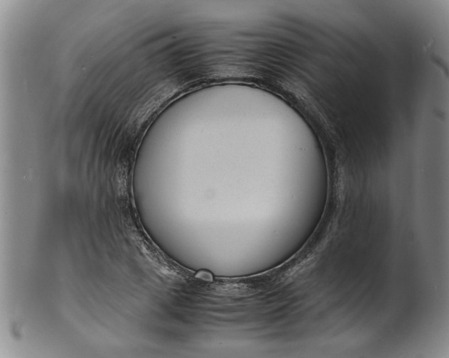 X0000101480833200807211357