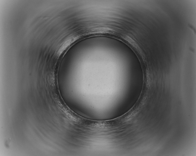 X0000101480834200807211357