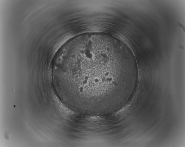 X0000101480835200807211357