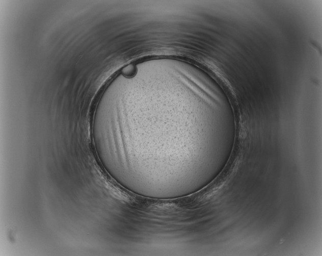 X0000101480837200807211357