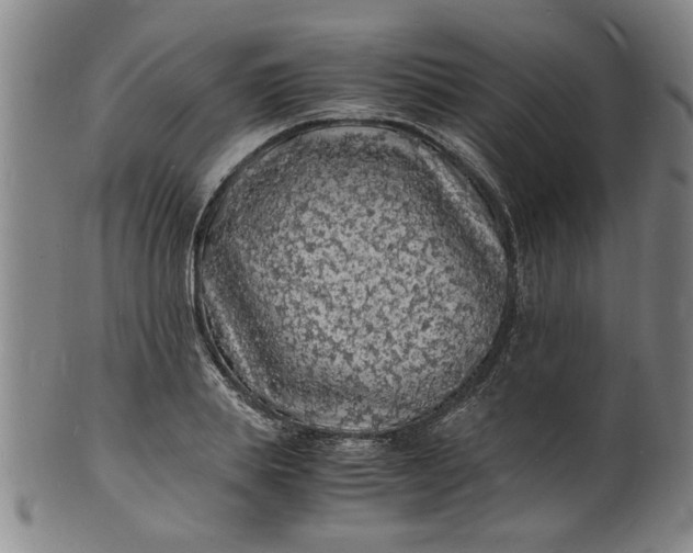 X0000101480839200807211357