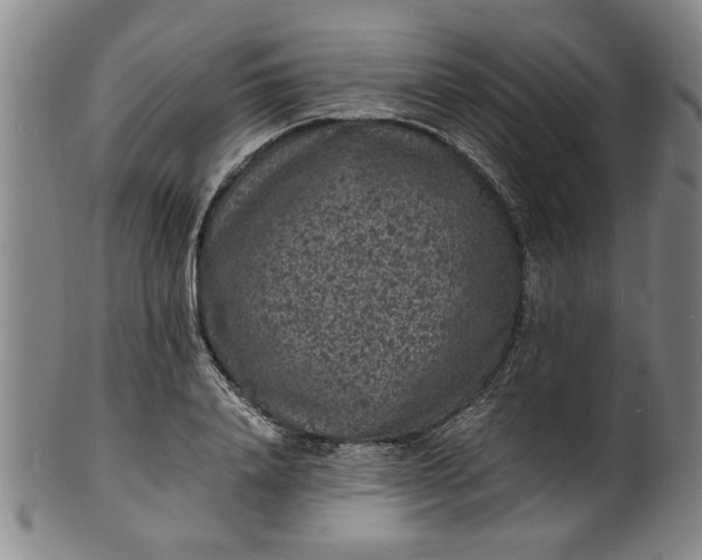 X0000101480840200807211357