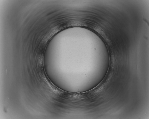 X0000101480841200807211357