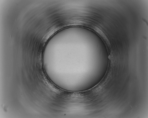 X0000101480842200807211357