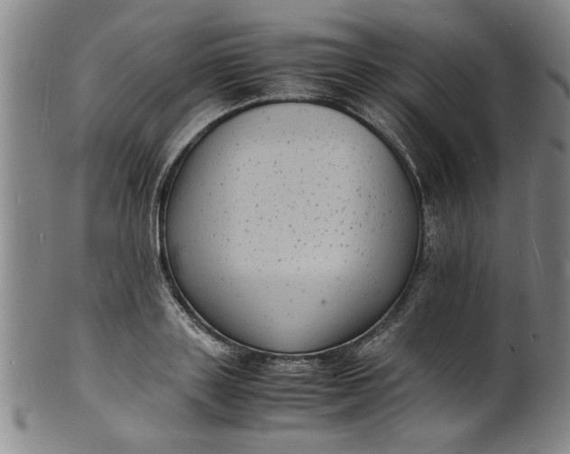 X0000101480843200807211357