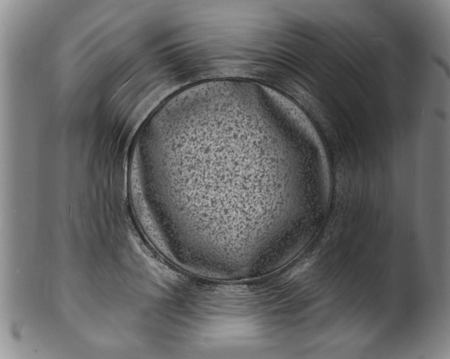 X0000101480844200807211357