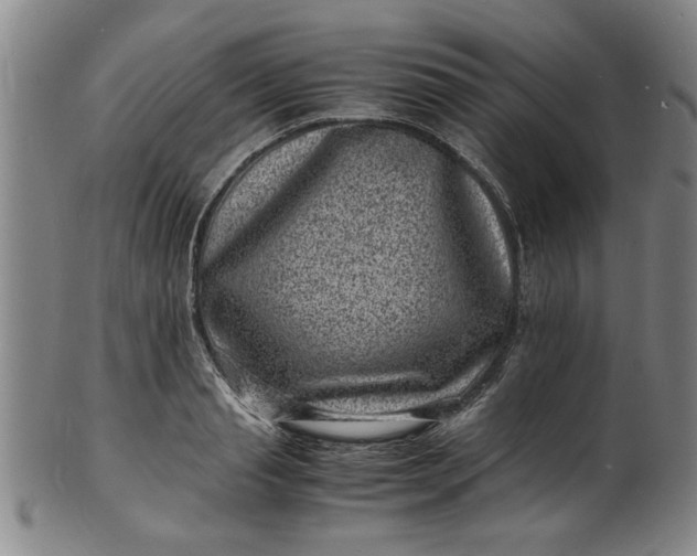 X0000101480845200807211357