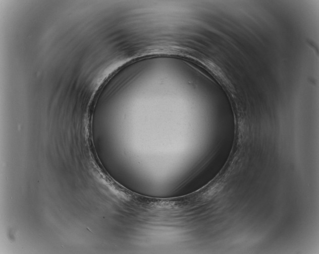 X0000101480846200807211357