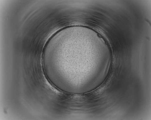 X0000101480847200807211357