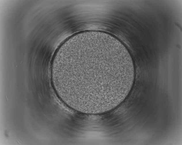 X0000101480848200807211357