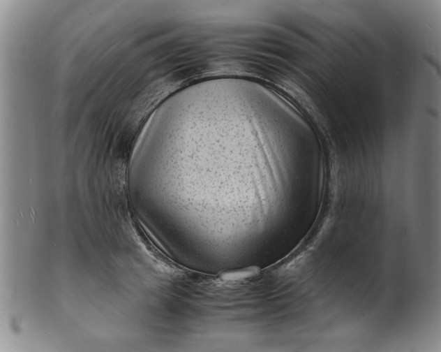 X0000101480849200807211357