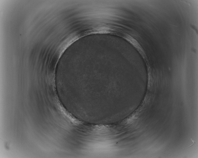 X0000101480850200807211357