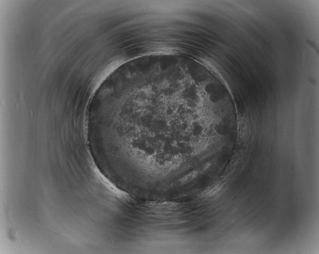 X0000101480851200807211357