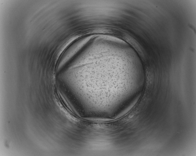 X0000101480852200807211357