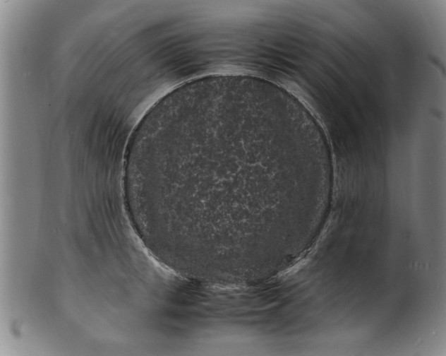 X0000101480853200807211357