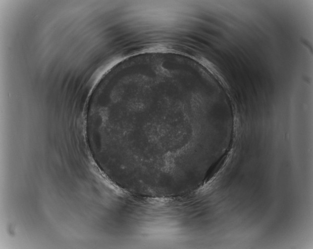 X0000101480854200807211357