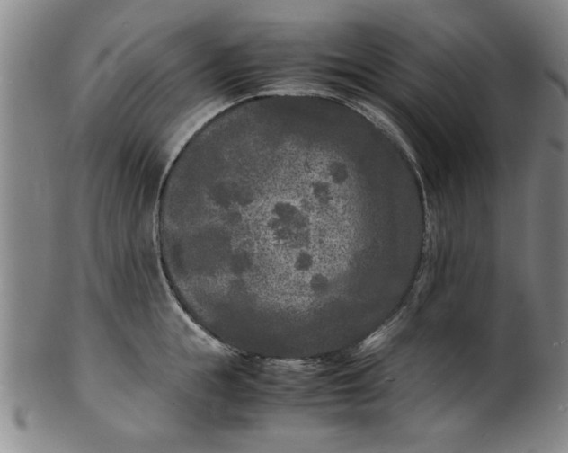 X0000101480855200807211357