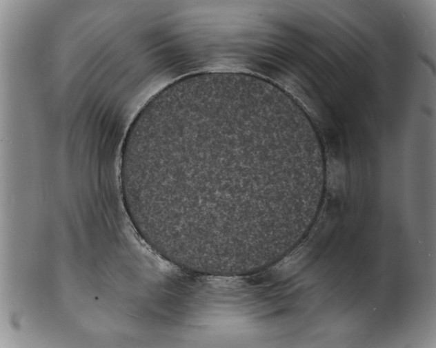 X0000101480856200807211357