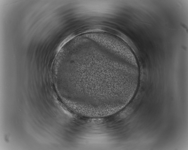 X0000101480858200807211357