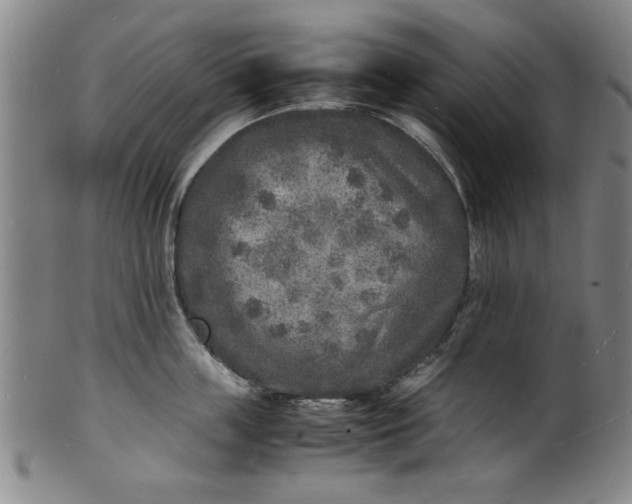 X0000101480859200807211357