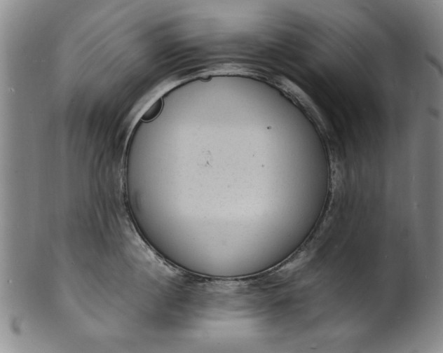 X0000101480860200807211357