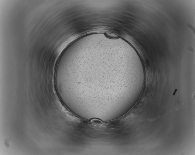 X0000101480861200807211357