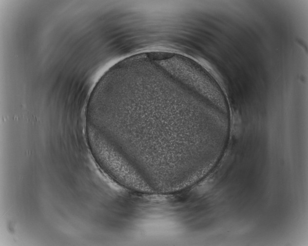 X0000101480862200807211357