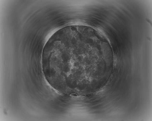 X0000101480863200807211357