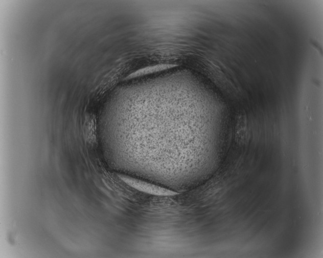 X0000101480866200807211357