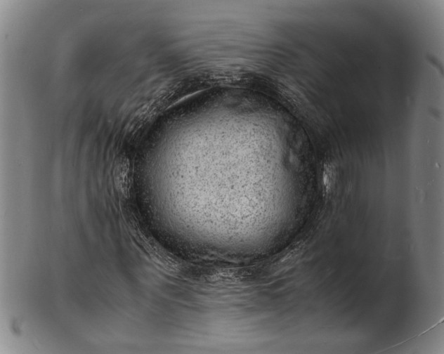 X0000101480867200807211357