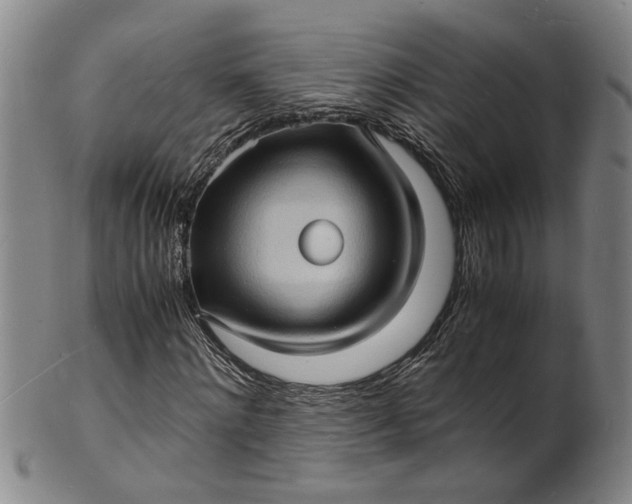 X0000101480868200807211357