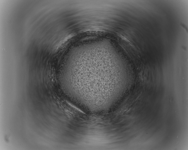 X0000101480870200807211357