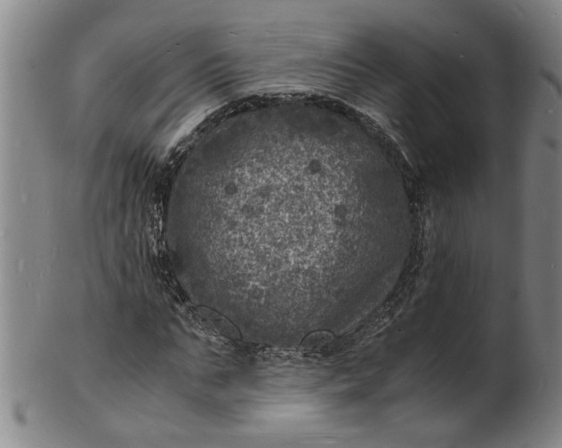 X0000101480871200807211357