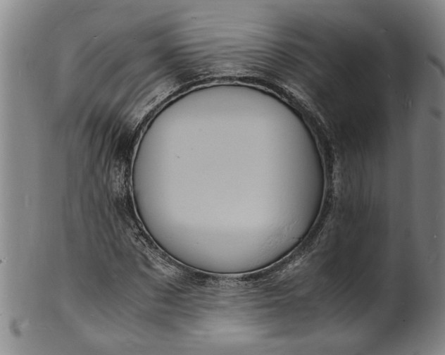 X0000101480873200807211357