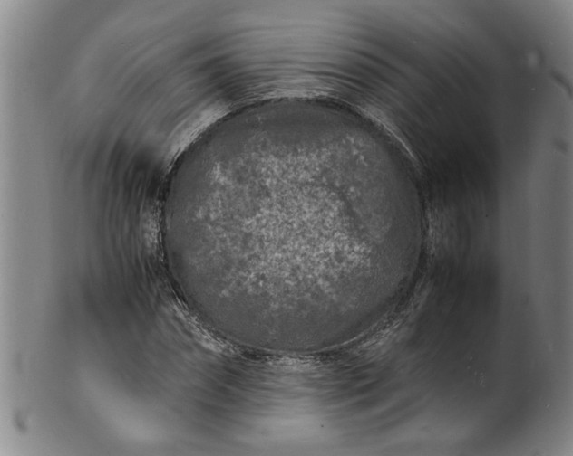 X0000101480874200807211357