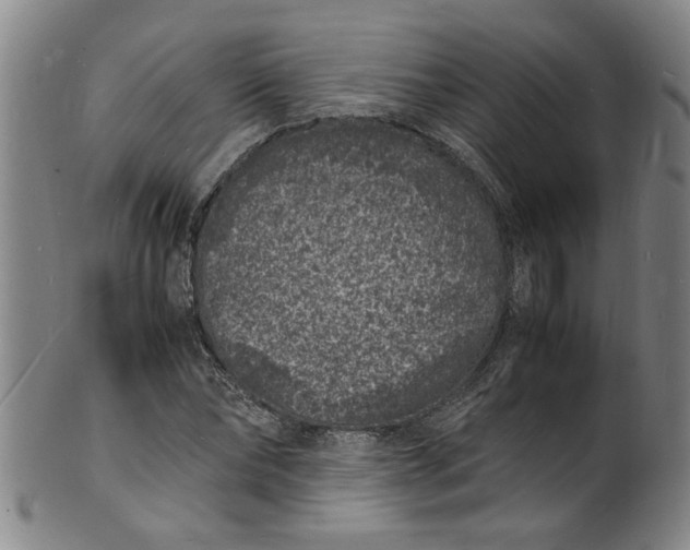 X0000101480878200807211357