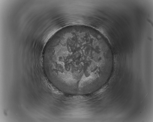 X0000101480879200807211357