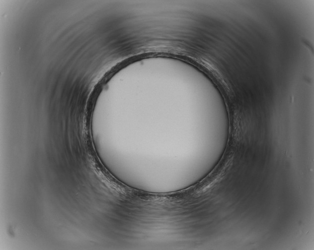 X0000101480880200807211356