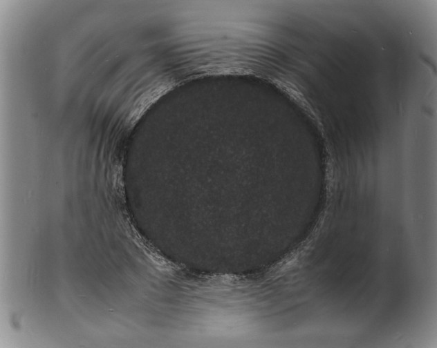 X0000101480881200807211356