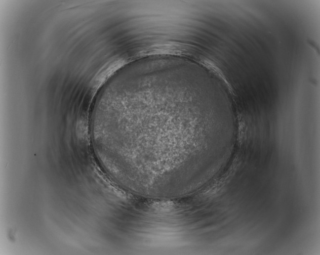 X0000101480882200807211356