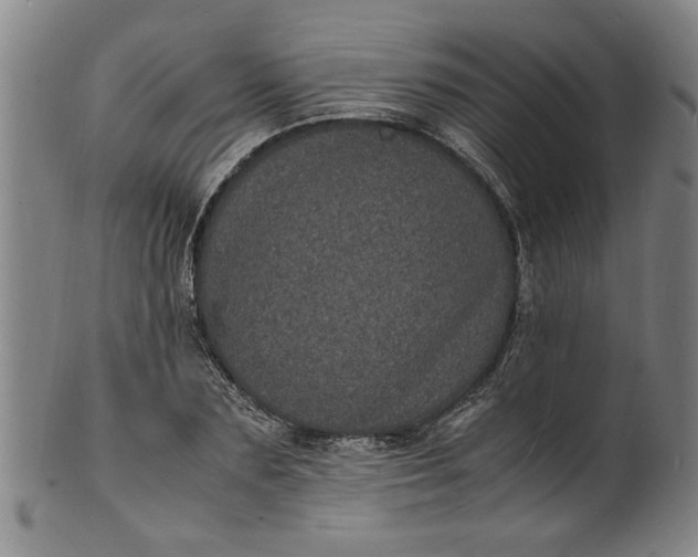 X0000101480883200807211356