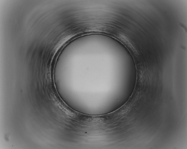 X0000101480884200807211356