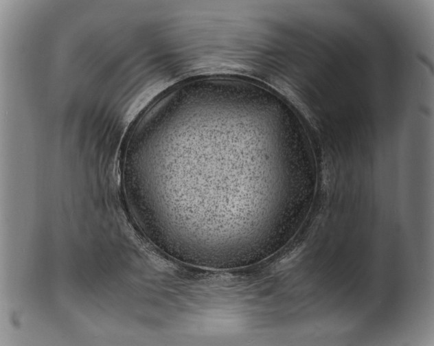 X0000101480885200807211356