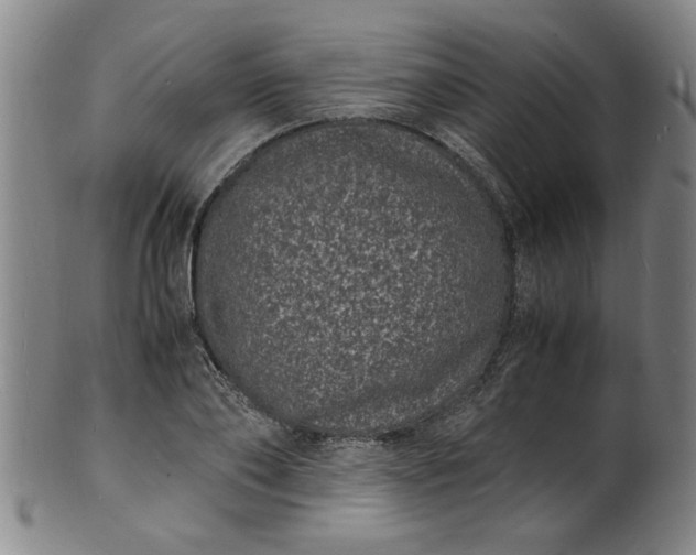 X0000101480886200807211356