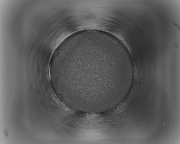 X0000101480887200807211356