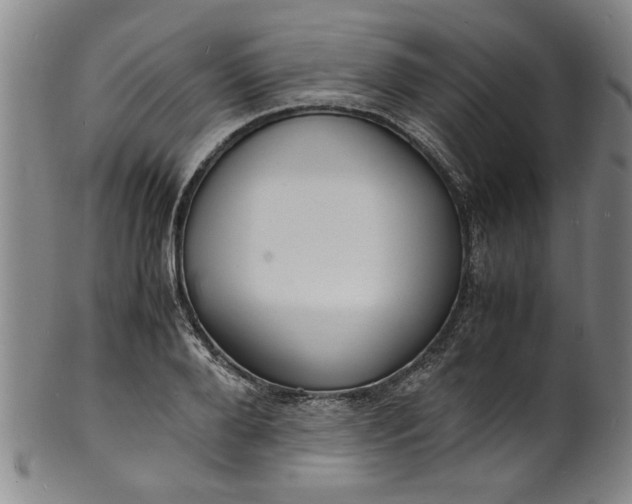 X0000101480888200807211356