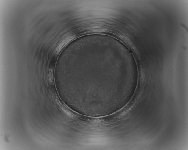 X0000101480889200807211356