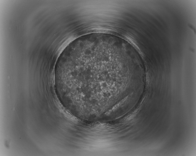 X0000101480891200807211356