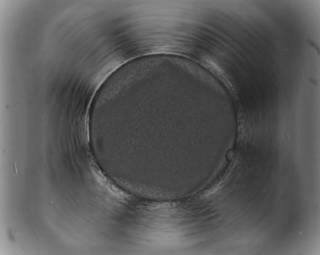 X0000101480892200807211356